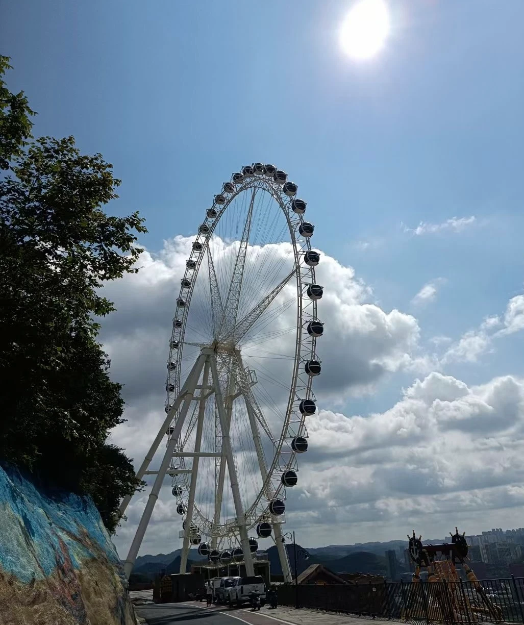 revolution roller coaster