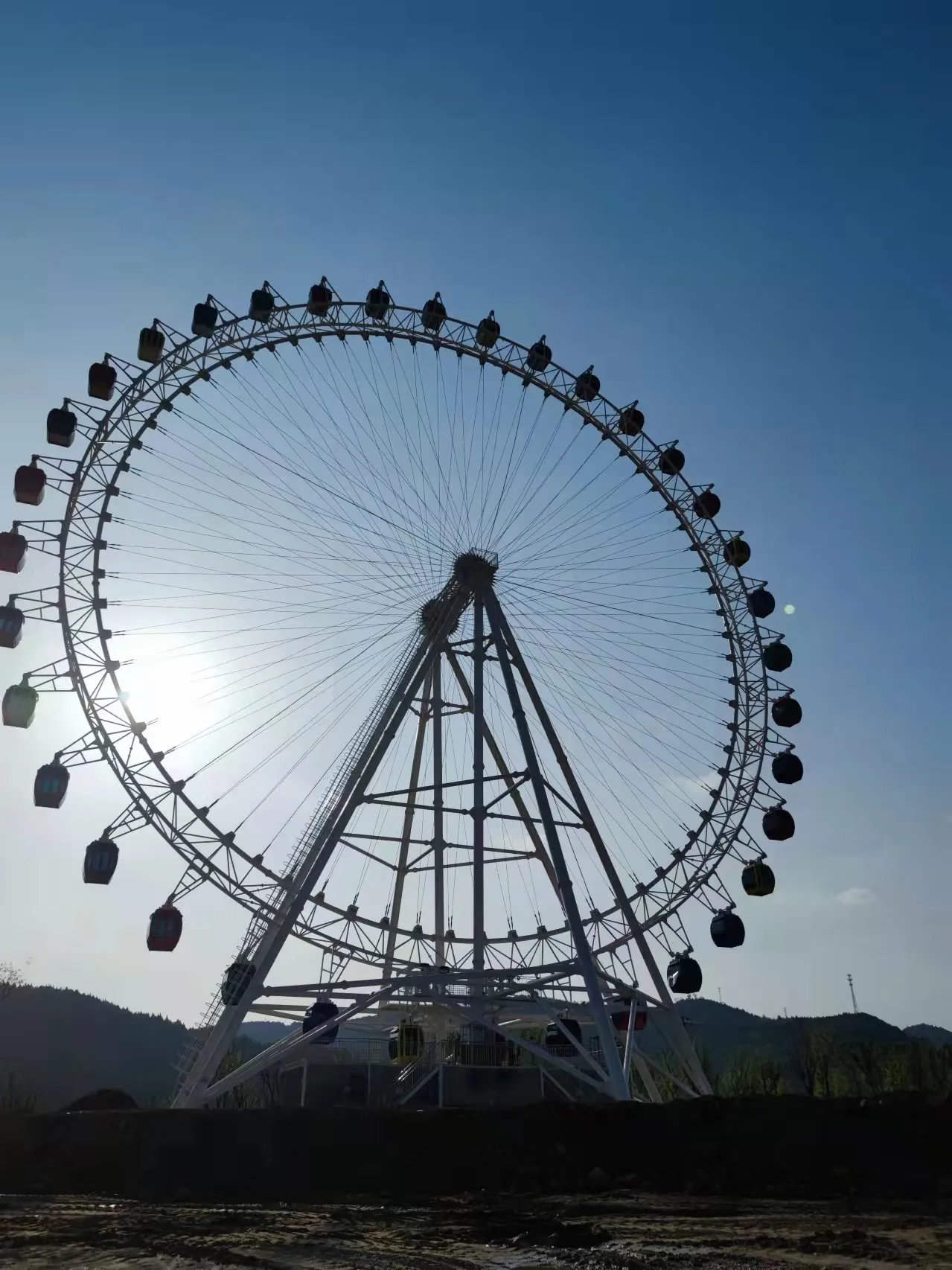 roller coaster quiz