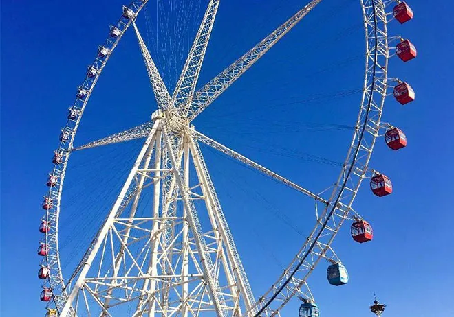 infinity roller coaster price