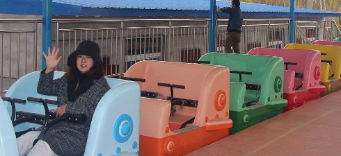 real roller coaster for sale