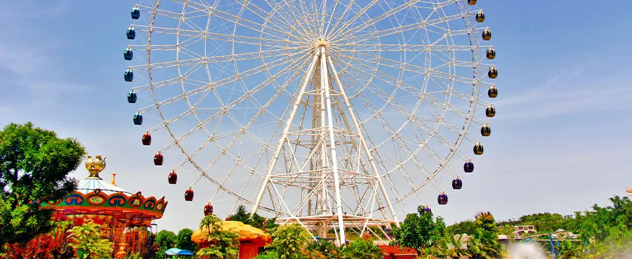 mountain coaster for sale